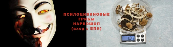 ПСИЛОЦИБИНОВЫЕ ГРИБЫ Заволжье
